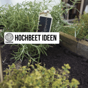 DIY Hochbeet selber bauen