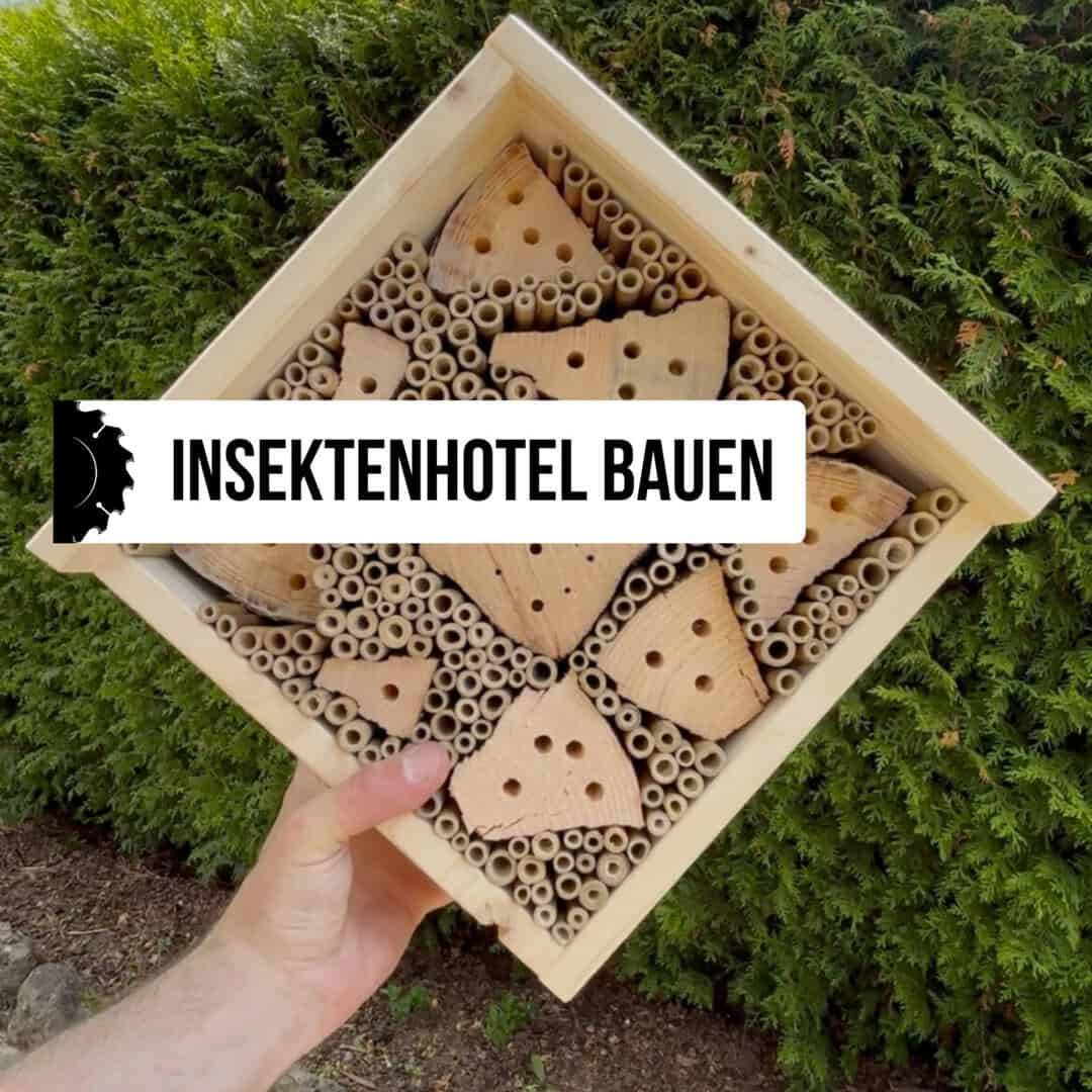 Insektenhotel Bauplan