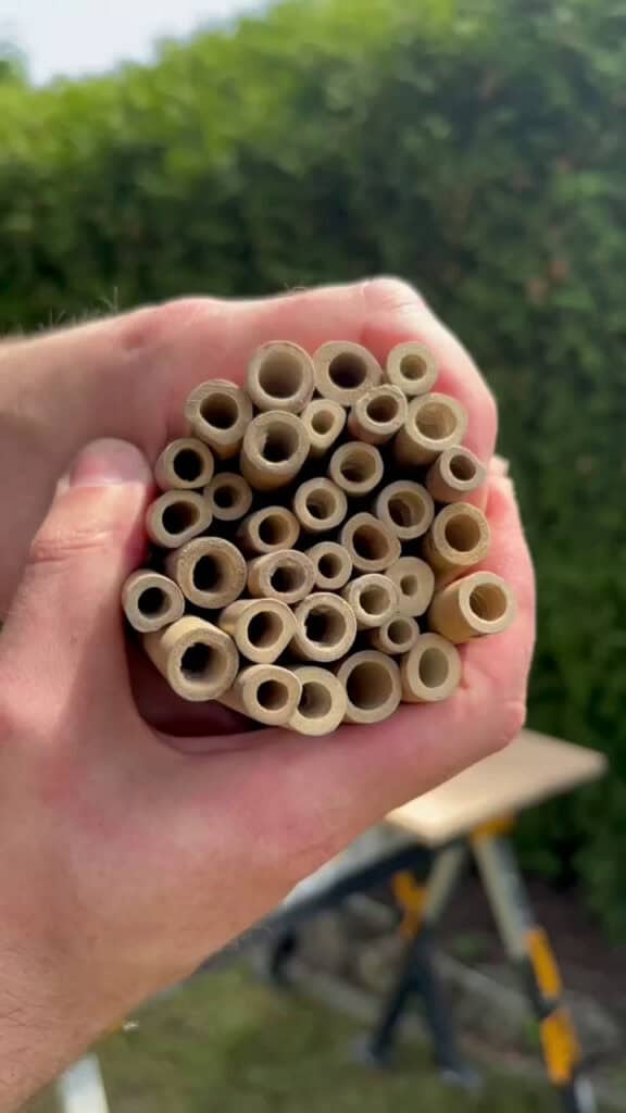 Bambusröhren für Insektenhotel